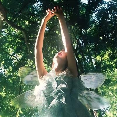 齿轮上的时空糖